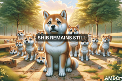 Shiba Inu slips 10% in a day: What's behind the plunge?