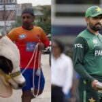 Pakistani cricketers sacrificed bulls worth crores, forgot the sorrow of defeat on the occasion of Eid