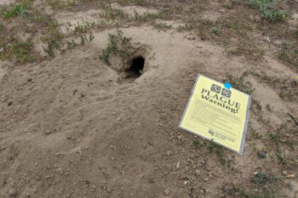 General view of a plague warning sign on a prairie dog mound outside of the main gates of Dick's Sporting Goods Park before the match between the San Jose Earthquakes against the Colorado Rapids in Commerce City, Colorado, on Aug 10, 2019.