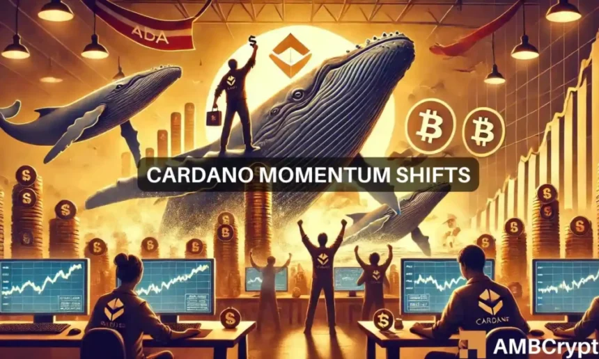 Cardano price prediction: How whales could turn ADA's July prospects