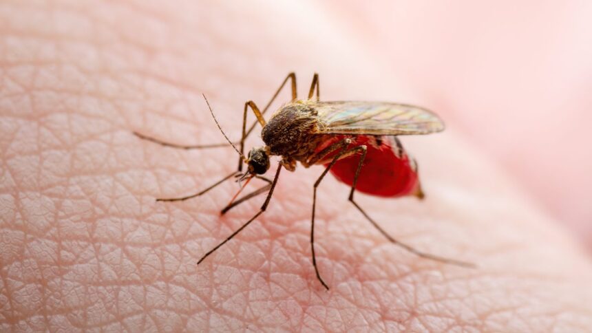 Williamson County resident tests positive for West Nile virus