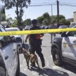 Woman killed at Fashion Island in Newport Beach was a New Zealand resident – San Bernardino Sun