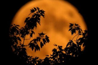 When is October's full moon 2024? Hunter's moon comes this week