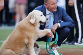 Ben, the famed, beloved dog of Kirk Herbstreit, has passed away