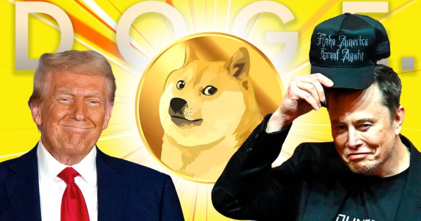 Dogecoin rallies 8% as Elon Musk savours Trump triumph and eyes White House role – DL News