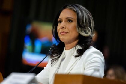 Senate committee advances Tulsi Gabbard's nomination as intel chief