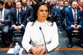 Senate committee backs Tulsi Gabbard as next intelligence chief 